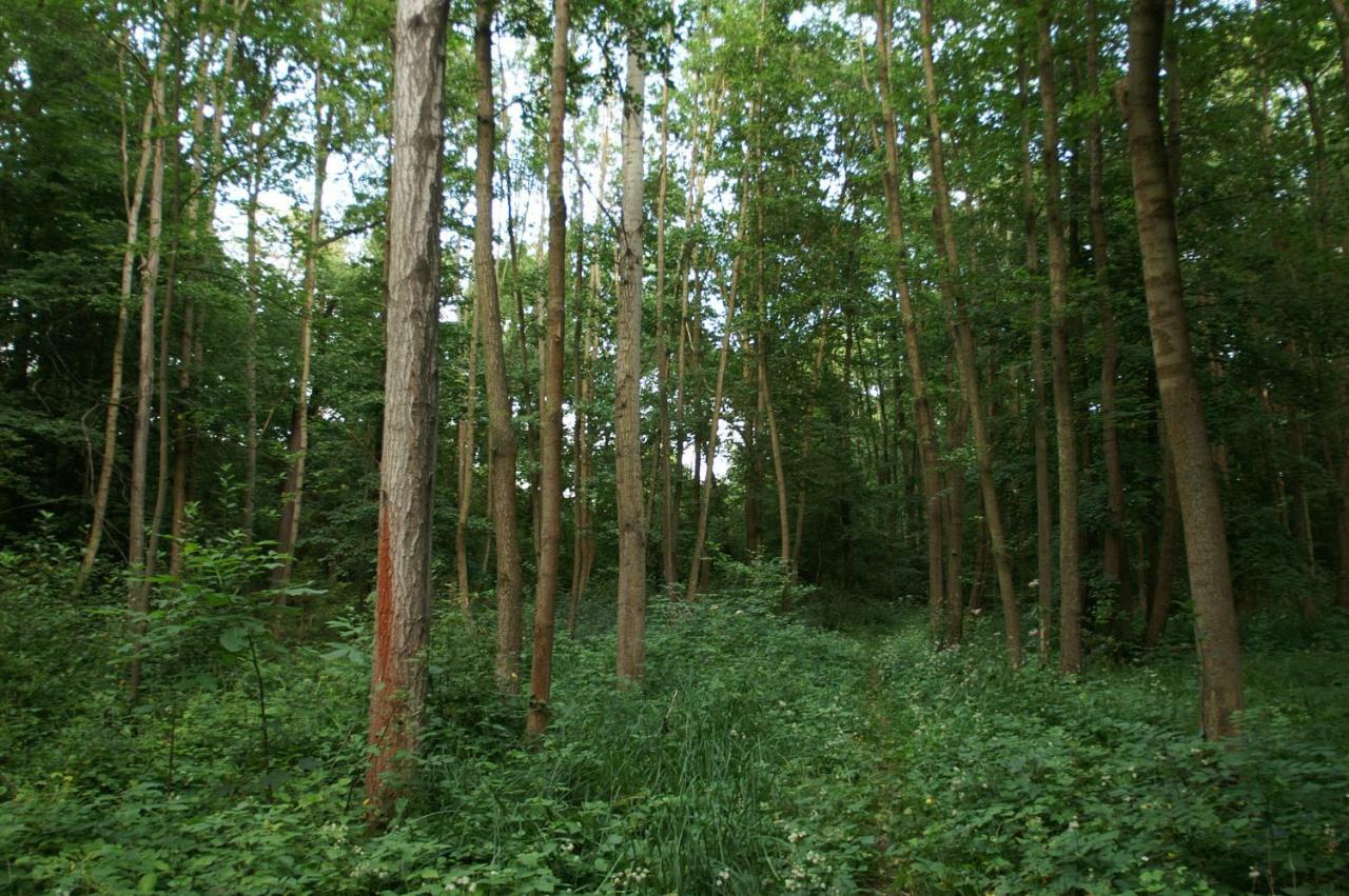 Podkrovi S Koupelnou Svinarov Exterior foto